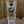 Load image into Gallery viewer, Wilde Child Pint Glass
